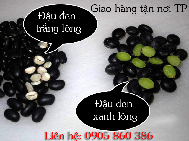 cung cap dau den xanh long